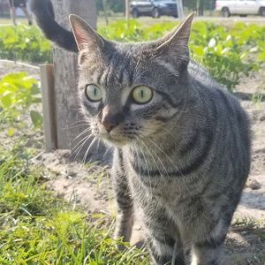 Meet your Posher, Janna